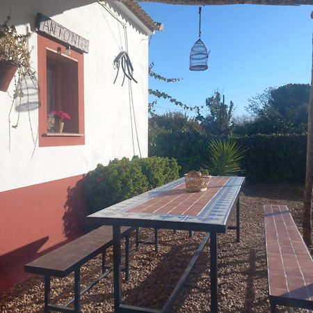 Casa Rural Camino De Los Molinos Y Su Establo La Puebla de los Infantes Esterno foto