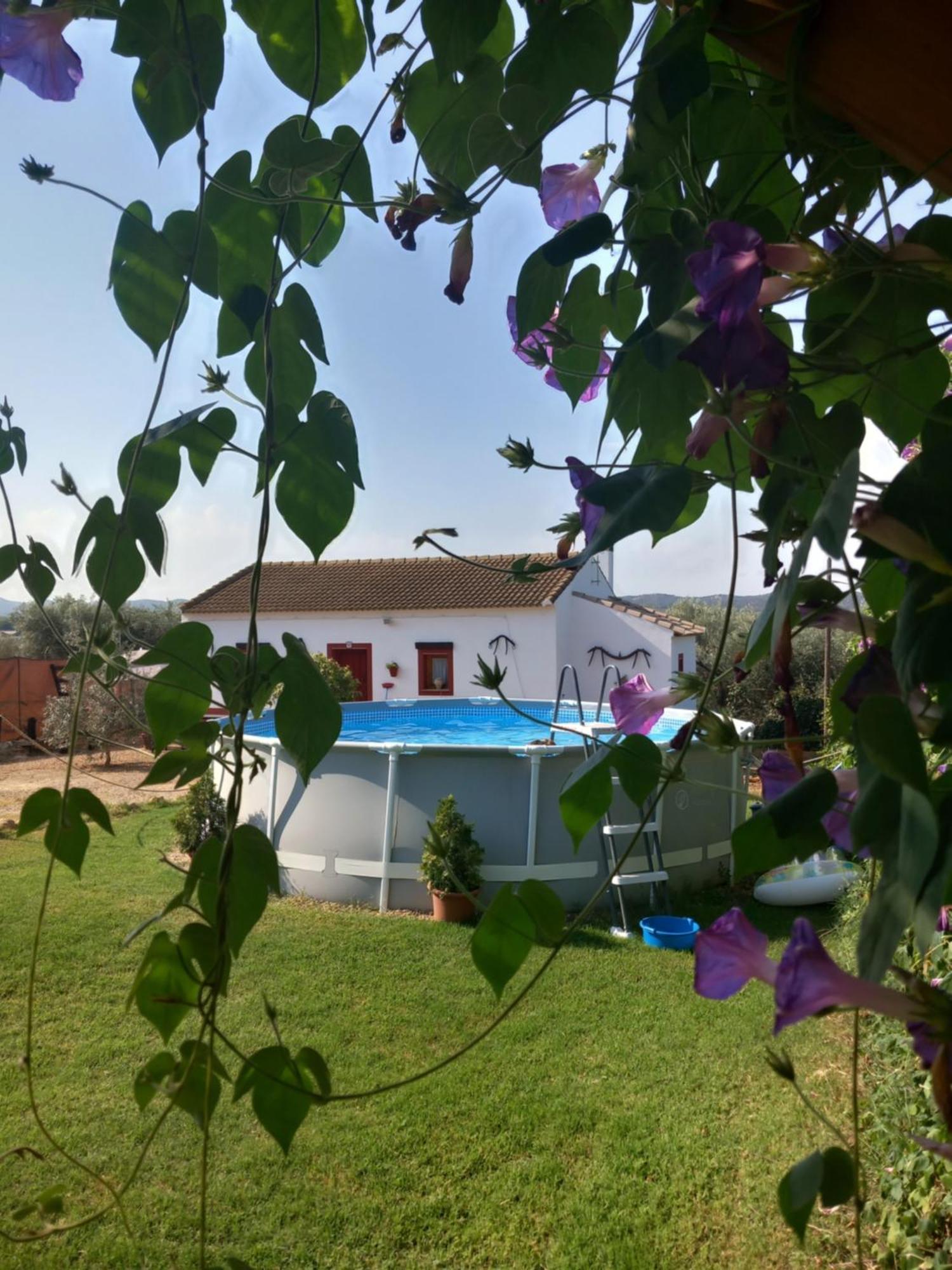 Casa Rural Camino De Los Molinos Y Su Establo La Puebla de los Infantes Esterno foto