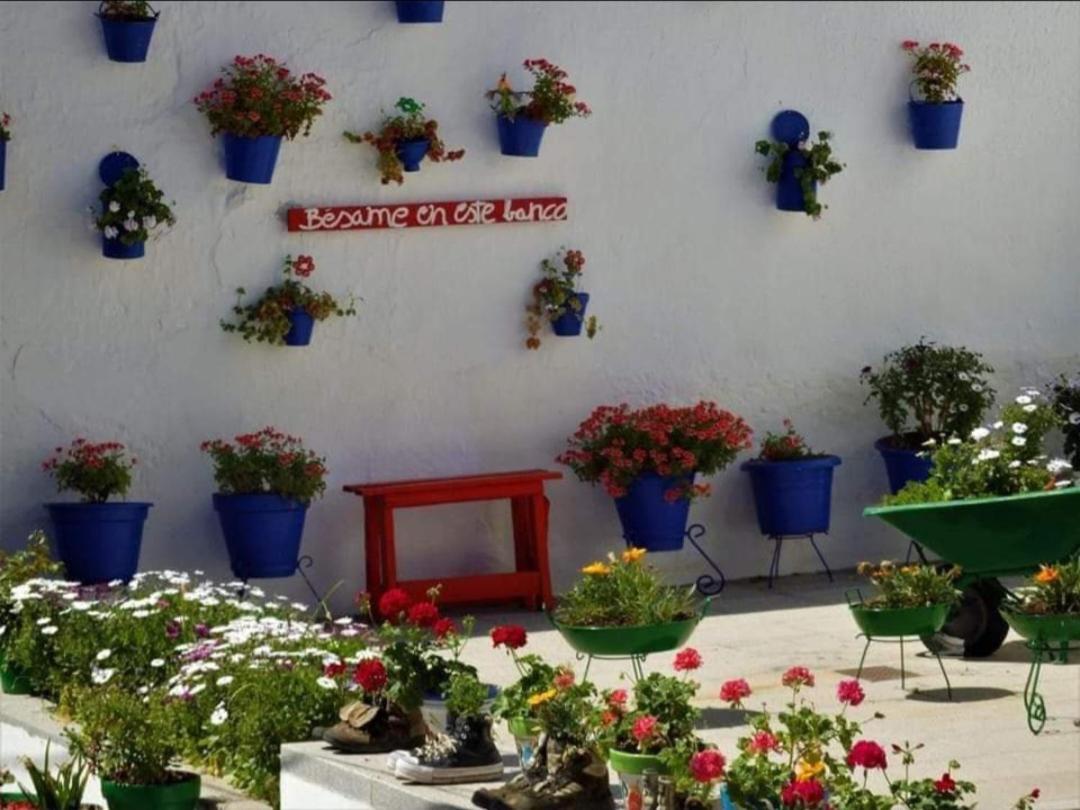 Casa Rural Camino De Los Molinos Y Su Establo La Puebla de los Infantes Esterno foto