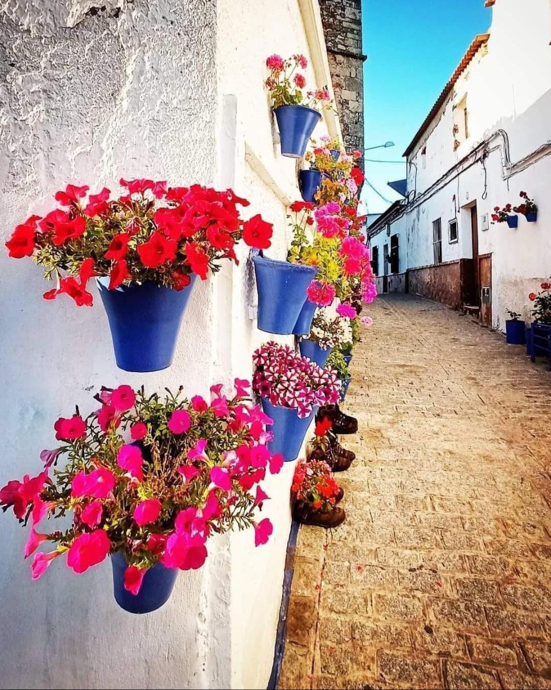 Casa Rural Camino De Los Molinos Y Su Establo La Puebla de los Infantes Esterno foto